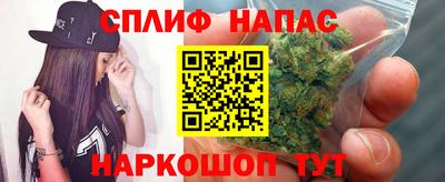 индика Канаш